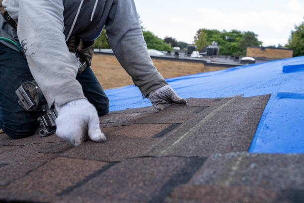 Best Flat Roofing  in Fox Farm College, WY